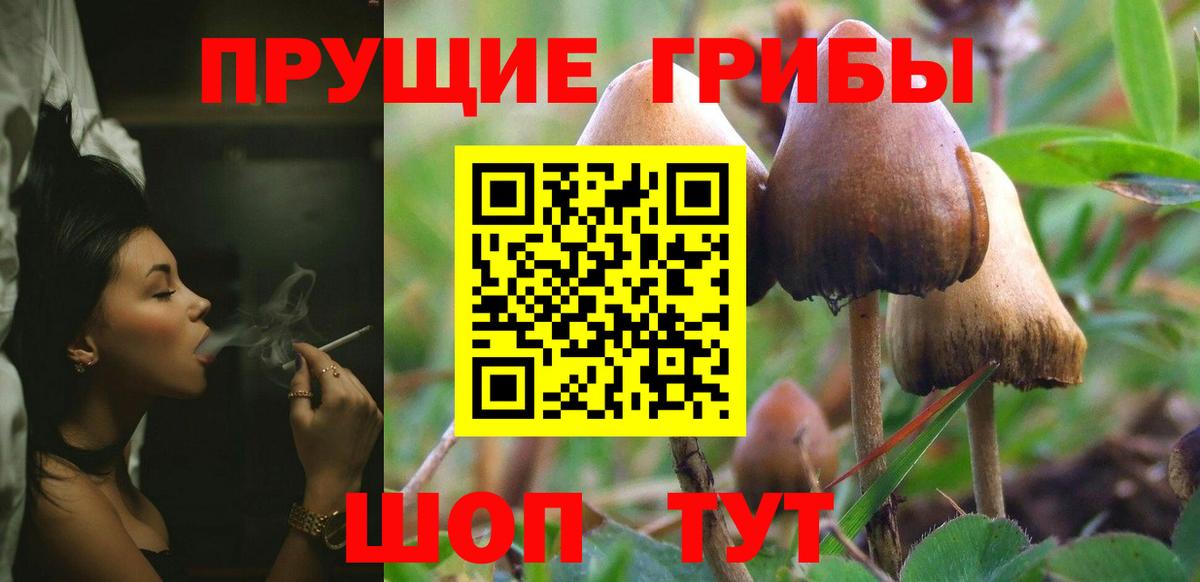 Галлюциногенные грибы мицелий Павлово
